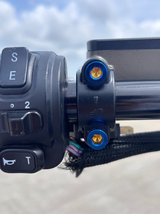 Ultra bee brake titanium